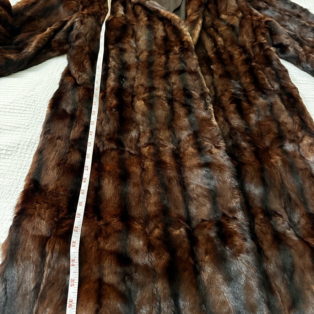 Beaver Fur View 4